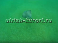www.Utrish-Kurort.ru -    